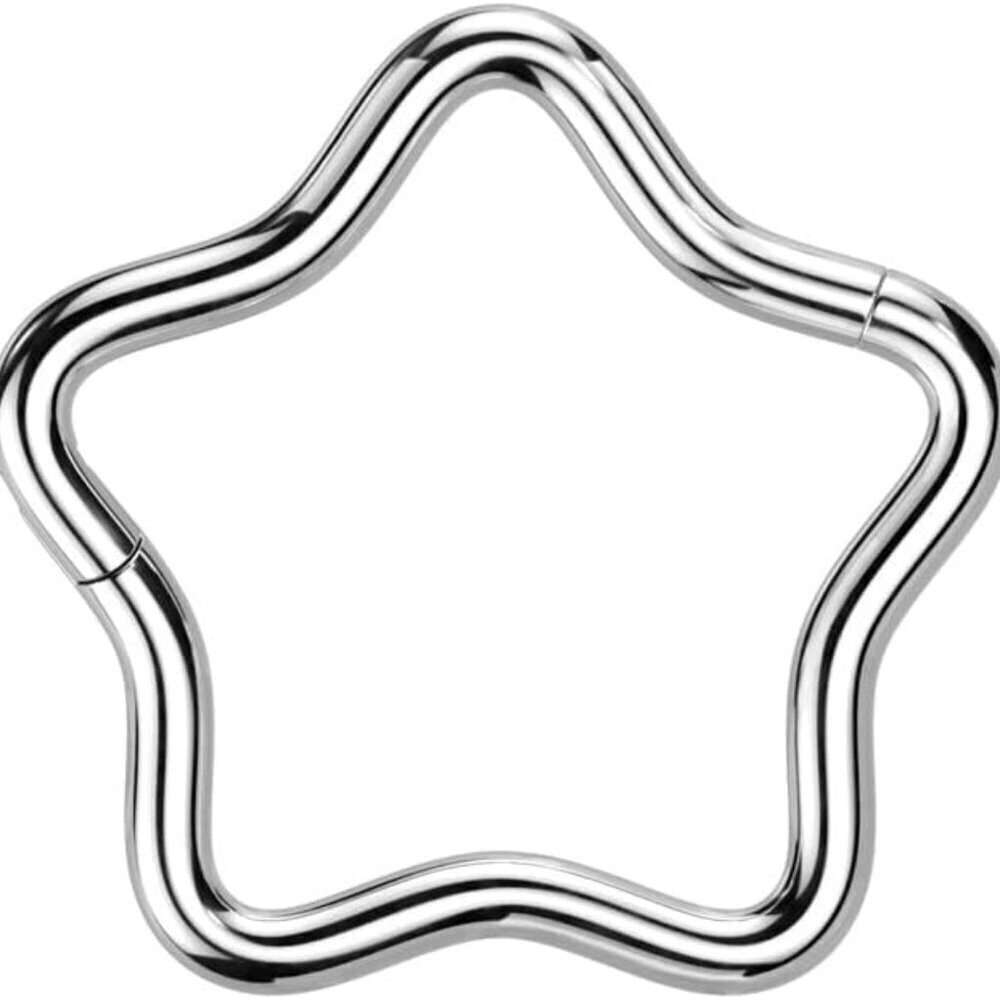 18GA Titanium Star Shaped Hinged Segment Nose or Eyebrow Ring